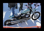 Harley & Snow 2013 (120)